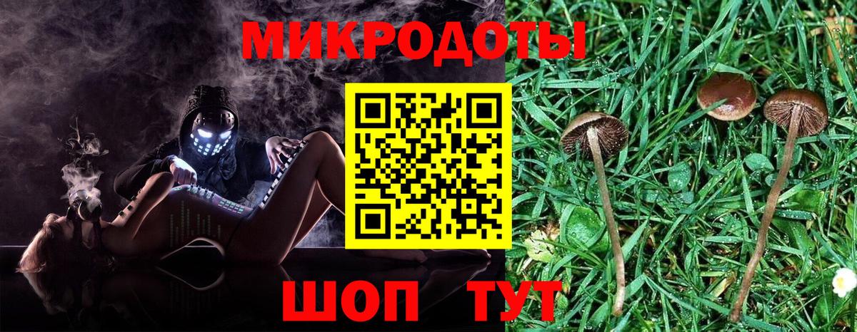 Псилоцибиновые грибы Cubensis Кудымкар