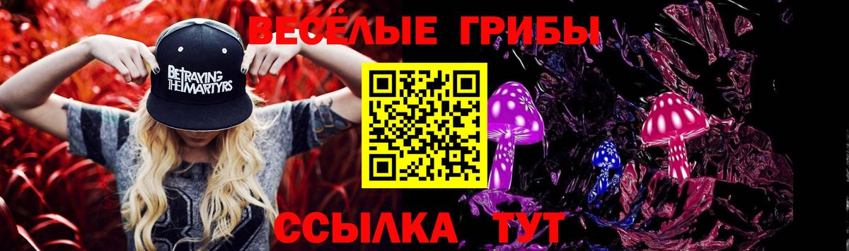 Галлюциногенные грибы мицелий  Вход с VPN  Кудымкар 
