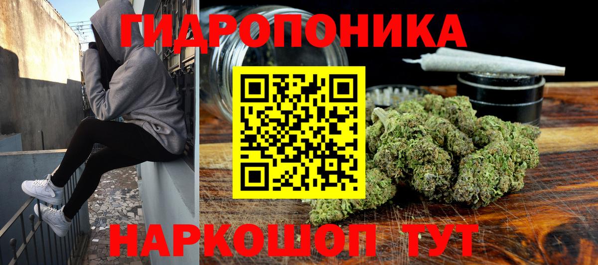 Каннабис SATIVA & INDICA Кудымкар